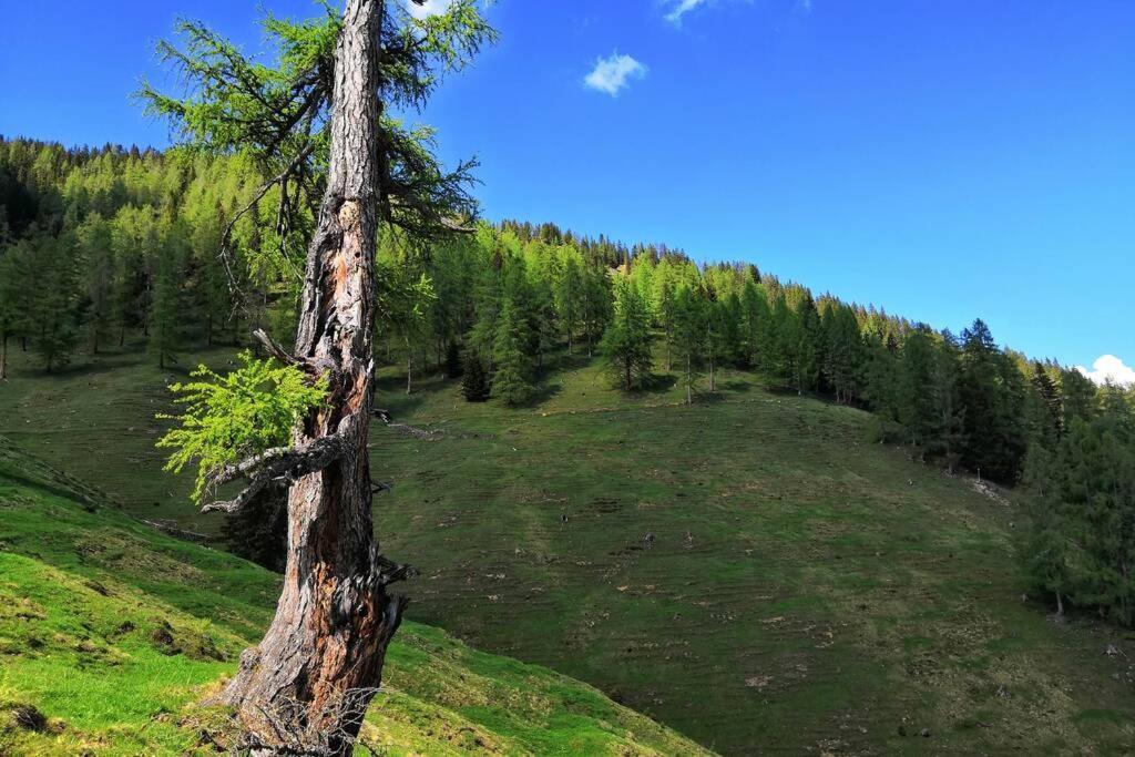 Appartment Dutzler Sankt Martin am Tennengebirge Εξωτερικό φωτογραφία
